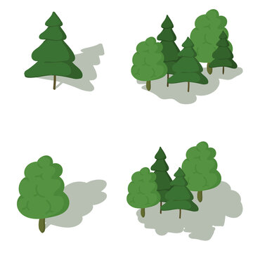Variety of hand drawn deciduous and coniferous  trees illustration set with a shadow 
