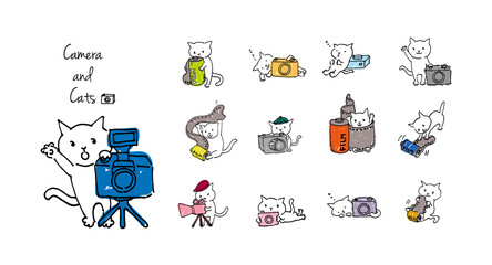 ゆるいカメラマンのかわいいしろねこセット
