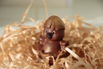 happy Easter chocolate chicken hatch from the egg