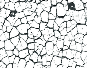 Vector black and white grunge pattern made from natural oil paint crackle. Cool texture of cracks, stains, scratches, splash, etc for print and design. Crackle paint overlay. EPS10.
