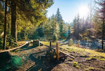 Beautiful forest clearing for hiking in the unusual hills of the Carpathians