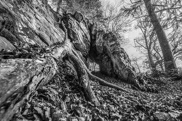 Schwarz weiß Bild Alte verwitterte Granit Felsen Formation mit Höhle und Durchbruch im Wald auf...
