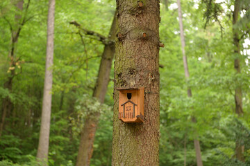 Birdhouse in Luhacovice city park, Moravia, Czech republic