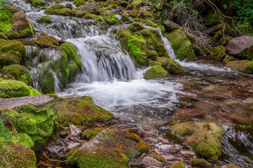 Mountain river with stones Kyrgyzstan