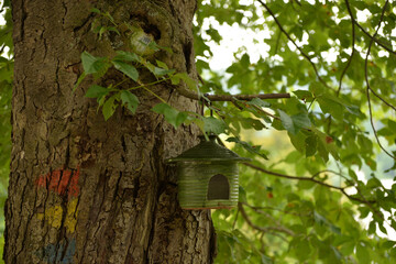 Birdhouse in Luhacovice city park, Moravia, Czech republic