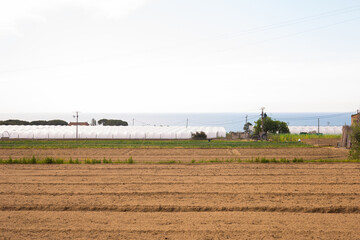 view of plowed sown farm land
