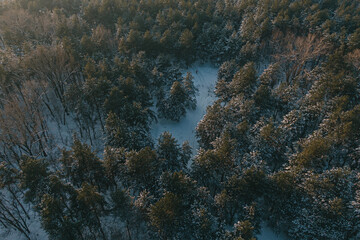 Beautiful winter forest with a drone, near the city