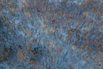 Beautiful winter forest with a drone, near the city