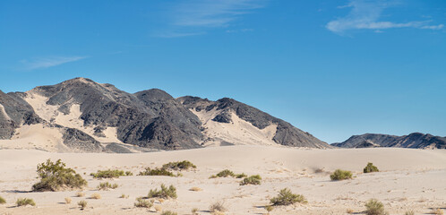 Dunes on the desert of Baja California, near the San Felipe Bay. Mexicali Baja Califronia.