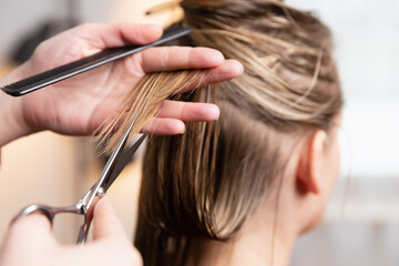 Hairdresser cutting blonde womens split and dry hair ends at home or salon.