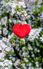 A symbol of love among the branches of a blooming Apple tree
