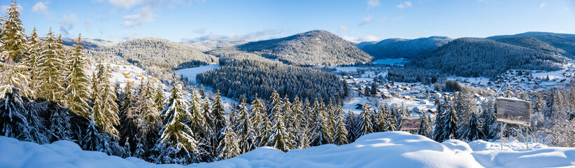 La forêt domaniale de Gérardmer vu depuis la Roche du Page, Xonrupt-Longemer, Vosges, France