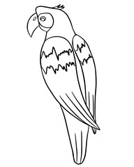Linear vector drawing of a parrot.
