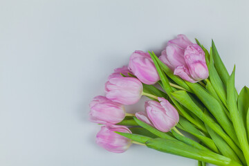 Bouquet of pink tulips on a white background. Mothers Day. International Women's Day. Holidays.
