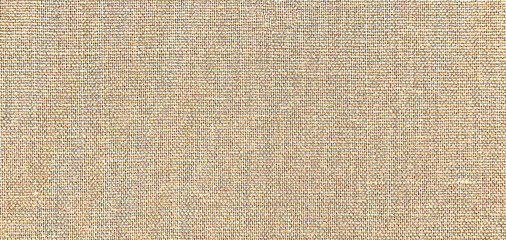 texture of a carpet