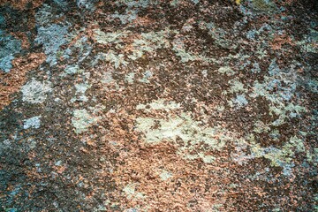 Multi-colored mold texture on the stones