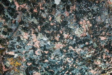 Multi-colored mold texture on the stones