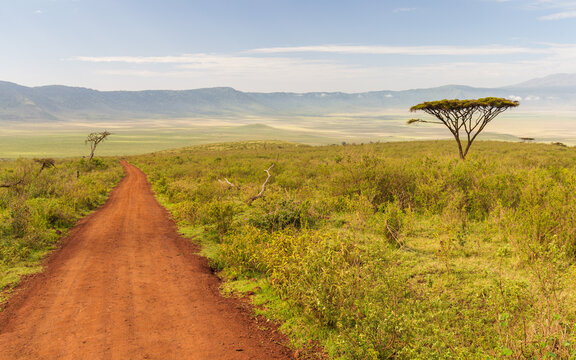 Red sandy road in Ngorongoro Conservation Area, Tanzania