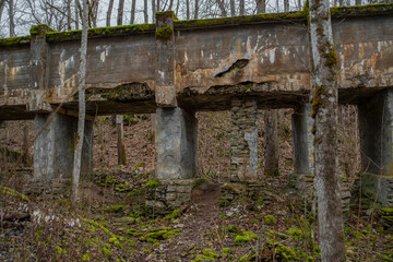 Ruins of Nommeveski (Estonian - Nõmmeveski) hydroelectric station. Cloudy autumn day. Selective focus.