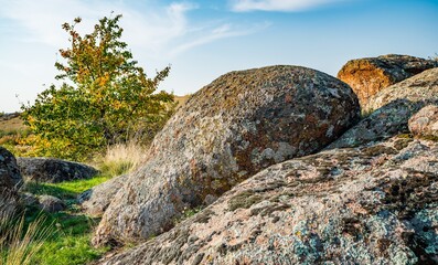 Huge deposits of stone minerals in a clearing bathed in warm sun