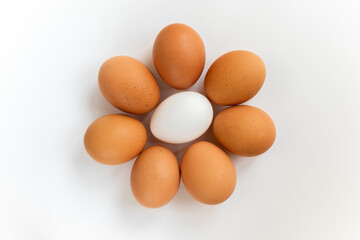 Group brown fresh eggs, isolated on white background.