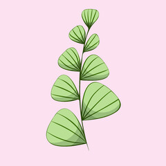 Minimalistic floral cards. Exotic branches and flowers. Botanical frames vector illustration. vector twig with oval green leaves on pink background, isolated object