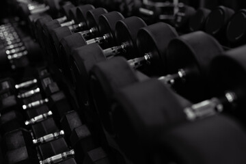 Fototapeta na wymiar Dumbbells in row on equipment stand in modern gym