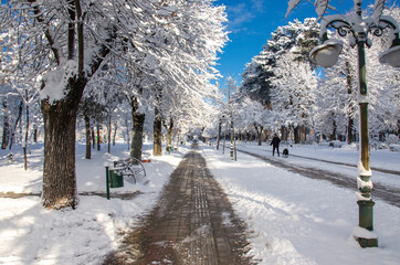 Snow in Bitola city park, Macedonia  - obrazy, fototapety, plakaty