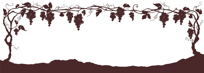 Grapevine - graphic vector illustration. Design element with a twisting vine with leaves and berries, frame, border.