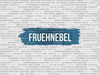 Fr�hnebel