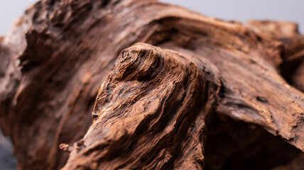 Driftwood, wood texture in volume. Decorative wooden element, close-up, minimalism. Art object for the interior. The curved root of an old tree. Wooden background.