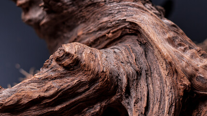 Driftwood, wood texture in volume. Decorative wooden element, close-up, minimalism. Art object for the interior. The curved root of an old tree. Wooden background.