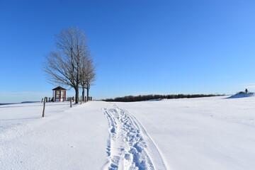 Footprints in the snow, Saint-Marcel, Québec