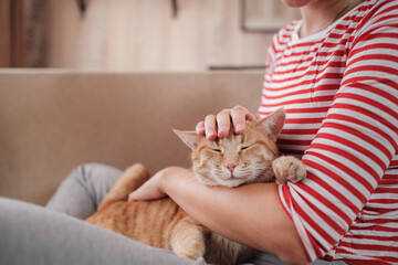 woman relaxing with her ginger pet on a sofa. Cosy scene, hygge concept.