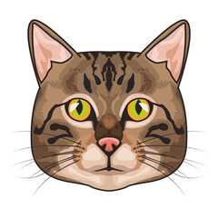 cat animal domestic head character in white background