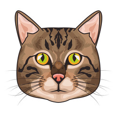 cat animal domestic head character in white background