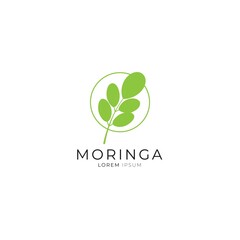 Moringa leaf icon logo vector design template