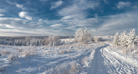 Snowy road at  winter Stone Hill park in frosty sunny evening. Winter country road with fir forest in the rays of cold winter Sun.
