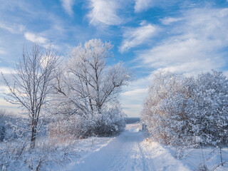 Snowy road at  winter Stone Hill park in frosty sunny evening. Winter country road with fir forest in the rays of cold winter Sun.