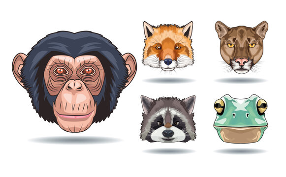bundle of five animals heads characters