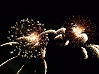 m&eacute;duse artifice