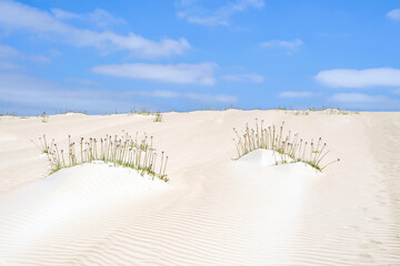 Magische Orte auf Boa Vista