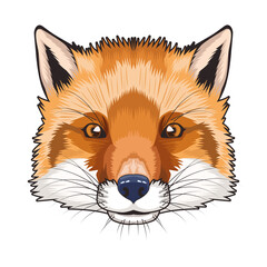 fox animal wild head character in white background