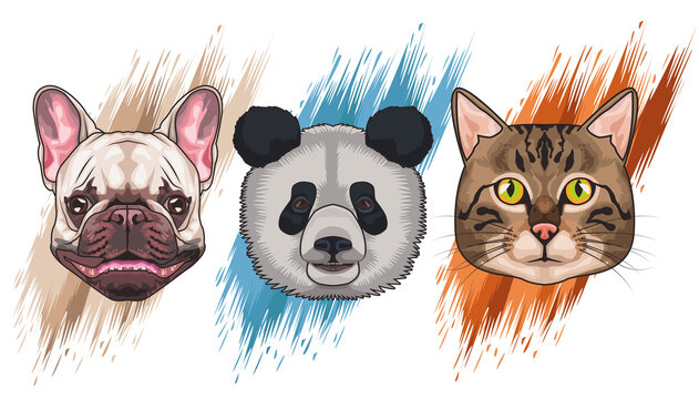 bundle of three animals domestics and wild set icons