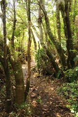 Patagonia Chilena - Futaleufú