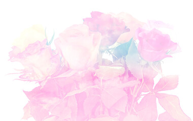 roses in pastel colors - floral background