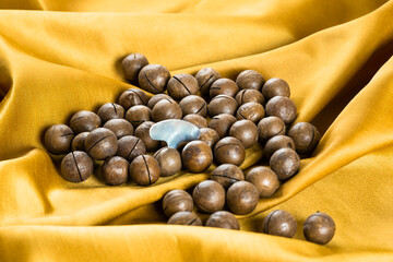 Macadamia nut on yellow background