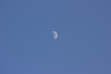 moon in the blue sky. 01/21/2021