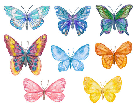 Collection of cute colorful butterflies. watercolor painting