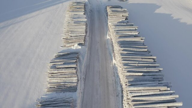 following truck among trees lumbering
